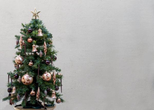 A close-up shot of the Decorated Christmas Tree