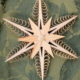 Wooden carved fancy star hanging for decoration